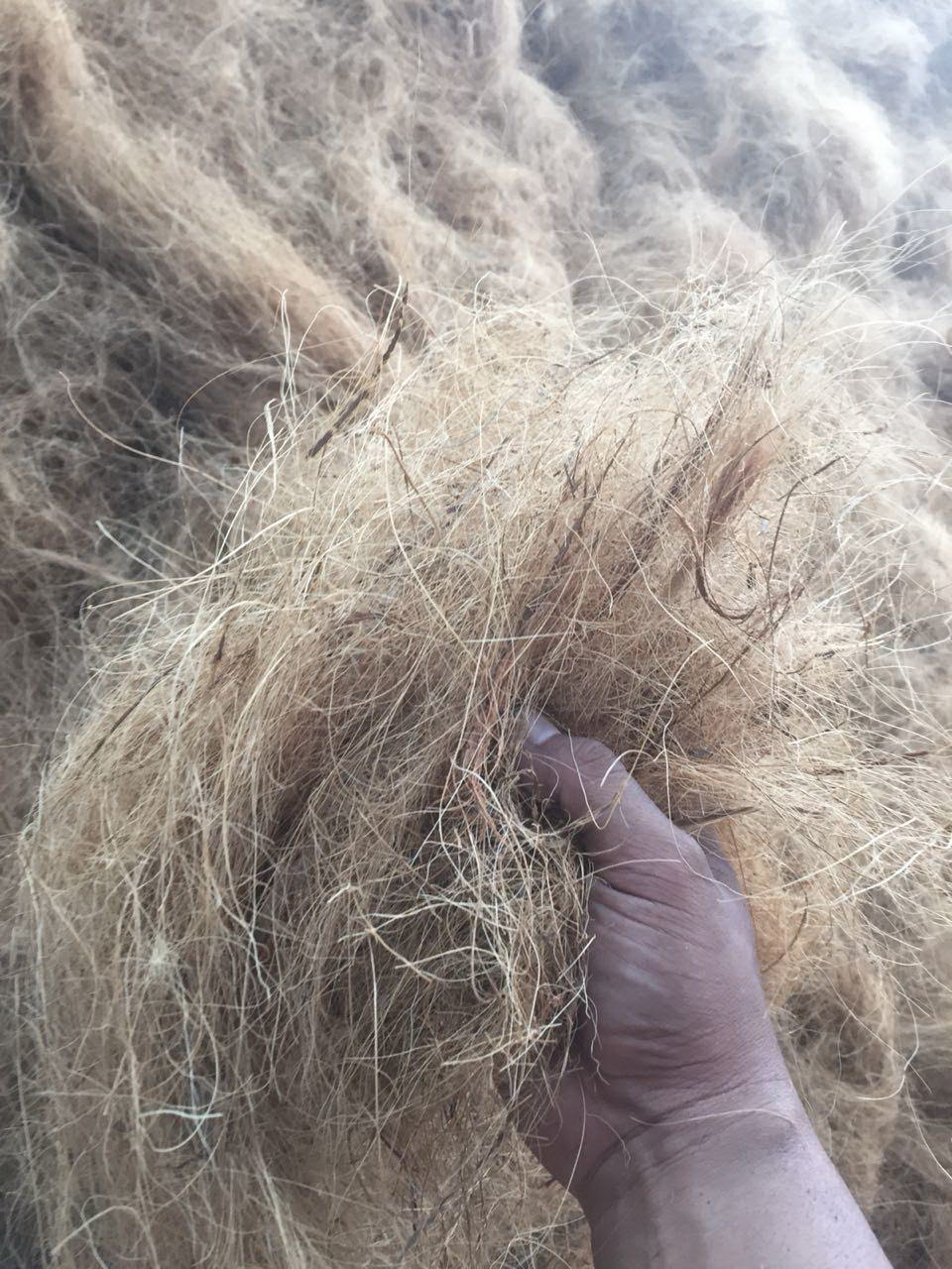 COCOFIBER 01